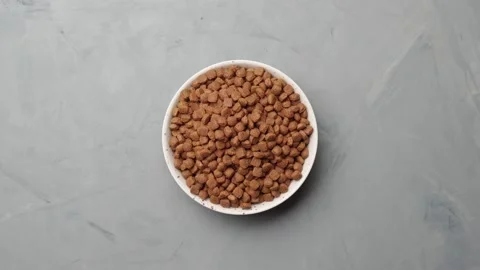 Dry cat food in a plate loop rotates. Top view. Stock Footage 149754959