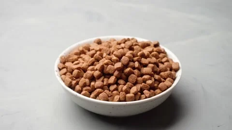 Dry cat food in a plate loop rotates. Stock Footage 150229521