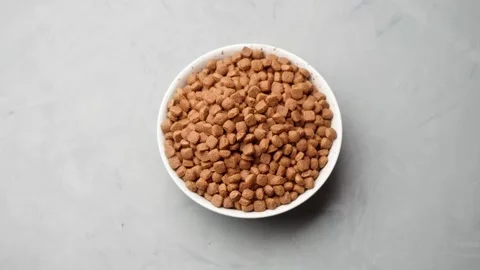 Dry cat food in a plate loop rotates. Top view Stock Footage 151919631