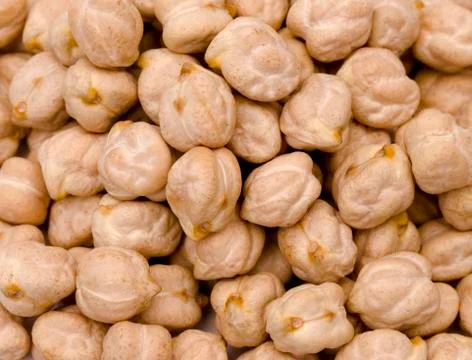 Dry Chickpeas on a White Background Stock Photos