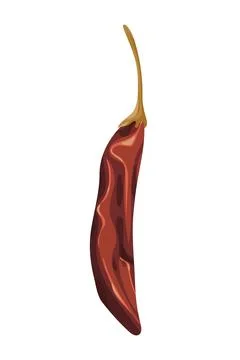 Dry chili pepper Stock Illustration