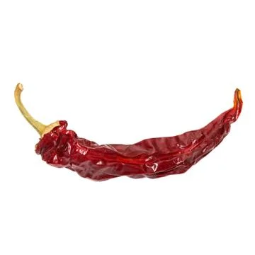 Dry chili pepper isolated. Dried vegetable. Stock-Fotos