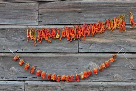 Dry chillis Foto stock