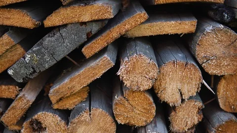 Dry chopped firewood of solid pine and birch wood in a pile. 스톡 동영상 93364578