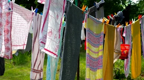 Dry clothes in the wind in garden Stock Footage 60447597