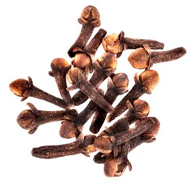 Dry cloves on white background Stock Photos