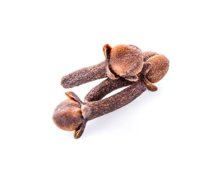 Dry cloves on white background Stock Photos