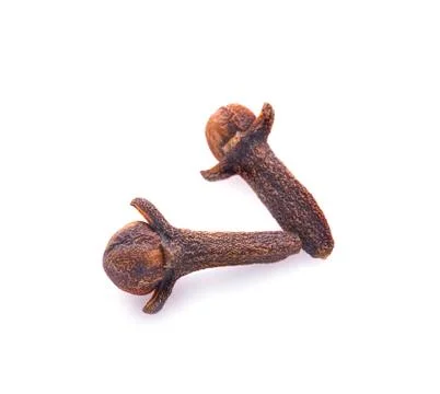 Dry cloves on white background Stock Photos