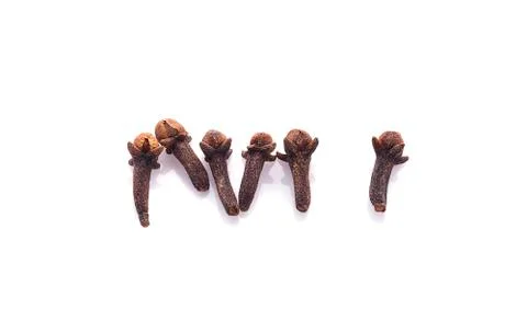 Dry cloves on white background Stock Photos