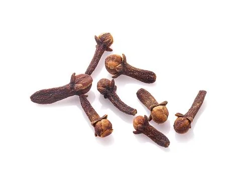Dry cloves on white background Foto stock