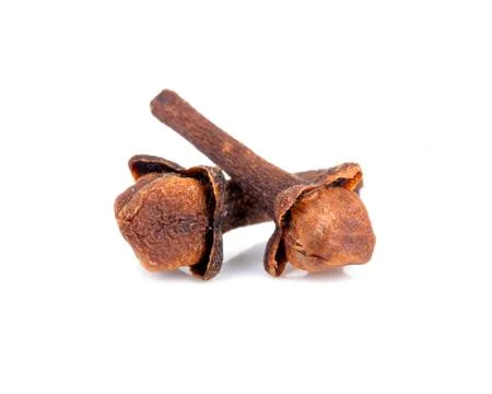 Dry cloves on white background Stock Photos