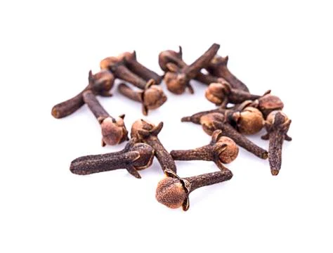 Dry cloves on white background Stock Photos