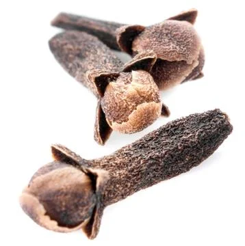 Dry cloves on white background Stock Photos