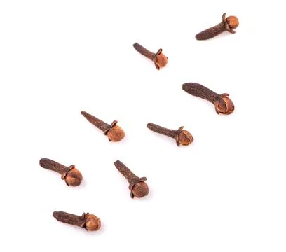Dry cloves on white background Stock Photos
