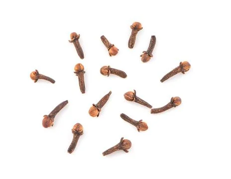 Dry cloves on white background Stock Photos