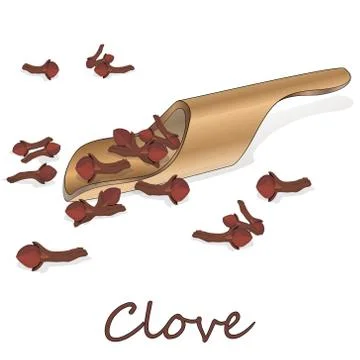 Dry cloves on white background. Vector illustration Stock Illustration
