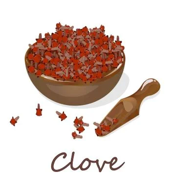 Dry cloves on white background. Vector illustration Stock Illustration