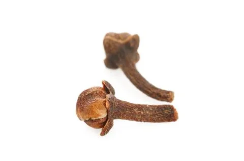 Dry cloves on white Stock Photos