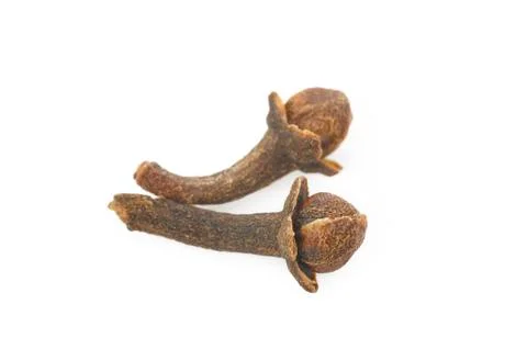 Dry cloves on white Stock Photos