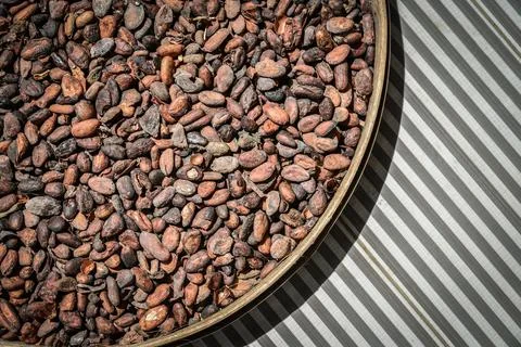 Dry cocoa seeds Stock Photos