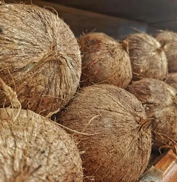 Dry Coconut Balls Fotos de archivo