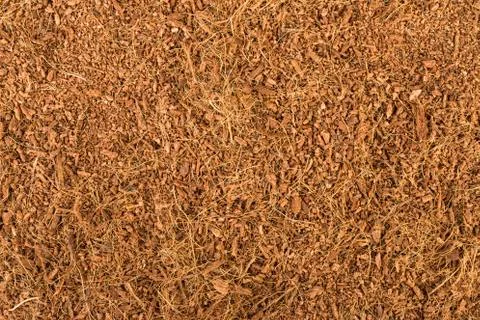 Dry coconut coir. Stock Photos