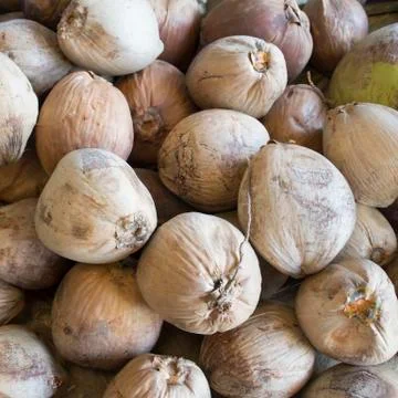 Dry coconut Stock Photos