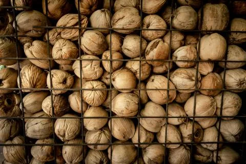 Dry coconut Stock Photos