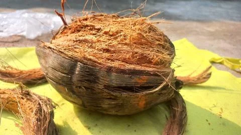 Dry coconut,Close Up Image Of Beautiful Coconut In yellow background Stock Photos
