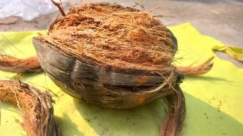 Dry coconut,Close Up Image Of Beautiful Coconut In yellow background Stock Photos