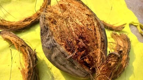 Dry coconut,Close Up Image Of Beautiful Coconut In yellow background Stock Photos