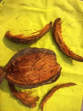Dry coconut,Close Up Image Of Beautiful Coconut In yellow background Stock Photos