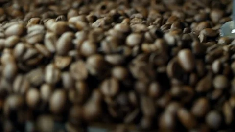 Dry coffee beans after roasting, close-up, roaster Stock Footage 129400895