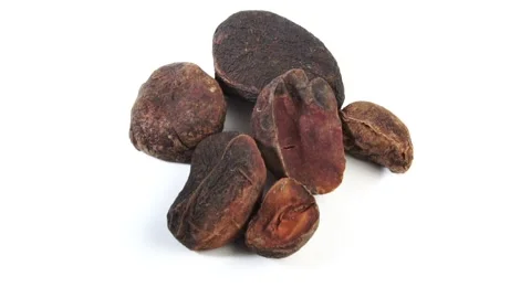 Dry Cola Nuts - Kola Nut Rotating Stock Footage 282381237