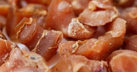 Dry Conch in rotation Stock Footage 92948131