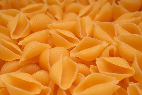Dry conch shell pasta close-up. Stock Photos