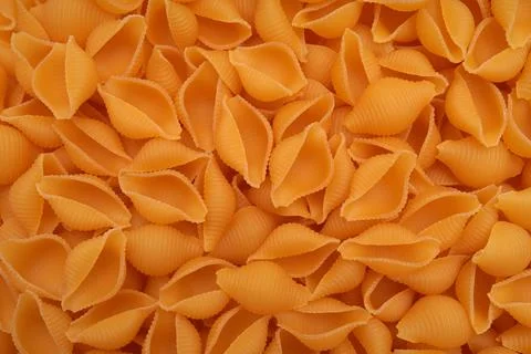 Dry conch shell pasta close-up. Foto stock