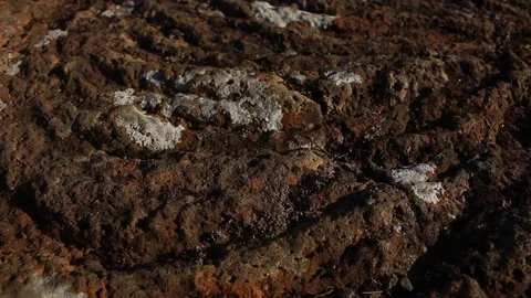 Dry cooled lava flow stone formation waves of magma in iceland Stock Footage 72916066