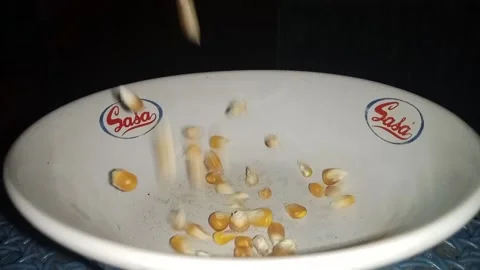 Dry corn 库存影片 215736027