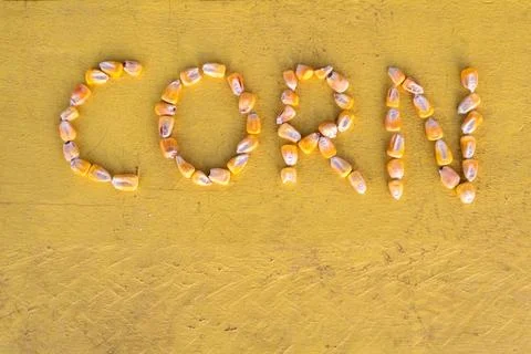 Dry corn kernels are arranged in the word corn Stock Photos