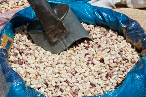 Dry Corn Stock Photos