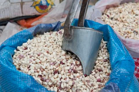 Dry Corn Stock Photos