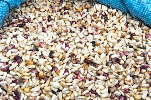 Dry Corn Stock Photos