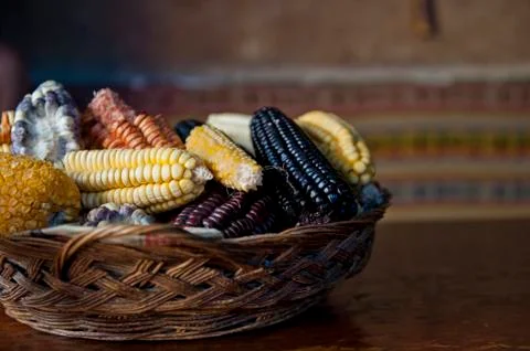 Dry Corn Stock Photos