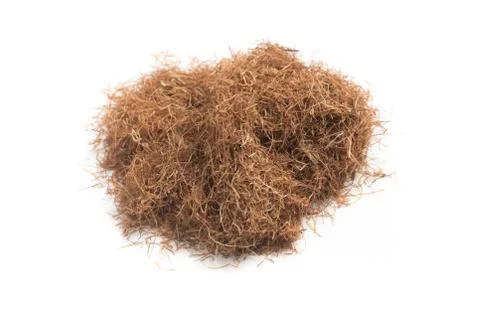 Dry Corn Silk Herb. Stigmata Maydis. Close-up Stock-Fotos