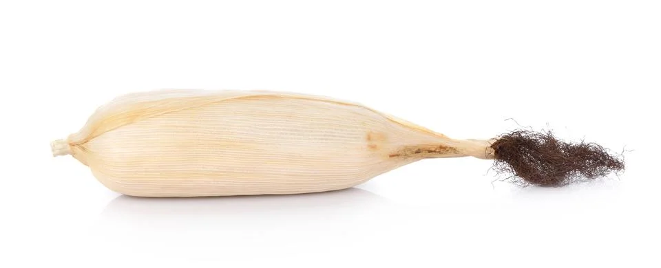 Dry corn on white background Stock Photos