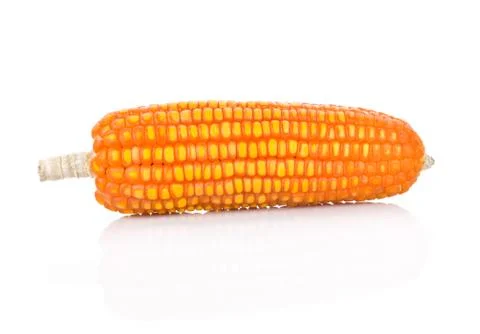 Dry corn on white on white background Stock Photos