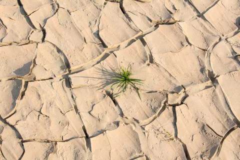 Dry crack earth Stock Photos