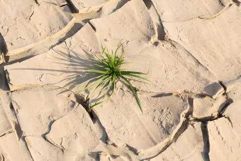 Dry crack earth Stock Photos