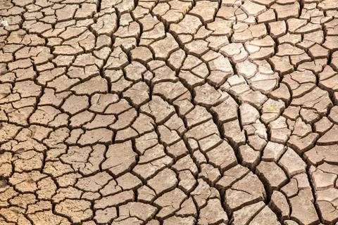 Dry crack earth Stock Photos